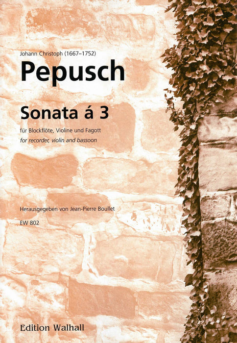 Pepusch: Sonata for Treble Recorder, Violin and Bassoon