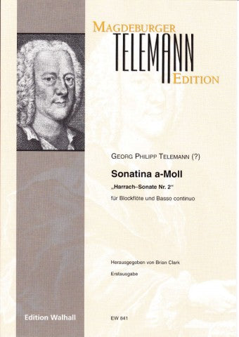 Telemann: Sonatina in A Minor "Harrach Sonata No. 2" for Treble Recorder and Basso Continuo