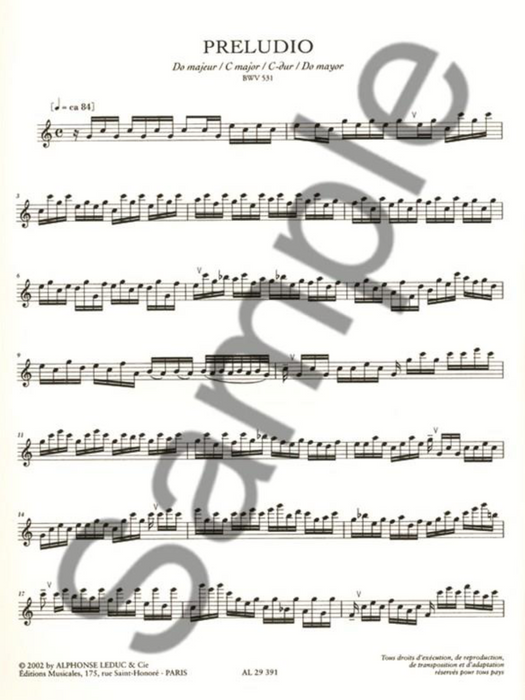 Bach: Exercitum for Alto Recorder