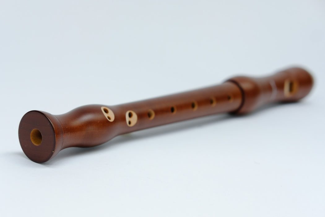 Mollenhauer Student Soprano Recorder in Stained Pearwood