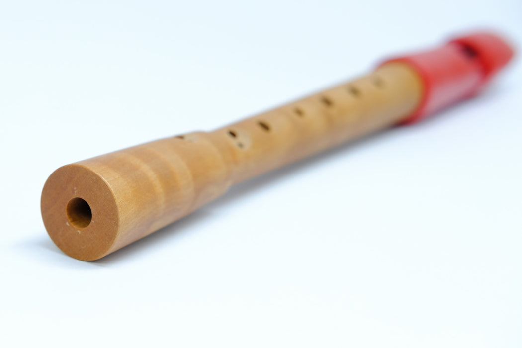 Mollenhauer Prima Soprano Recorder in Red Plastic and Pearwood
