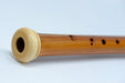 Mollenhauer Dream Edition Alto Recorder in Plumwood