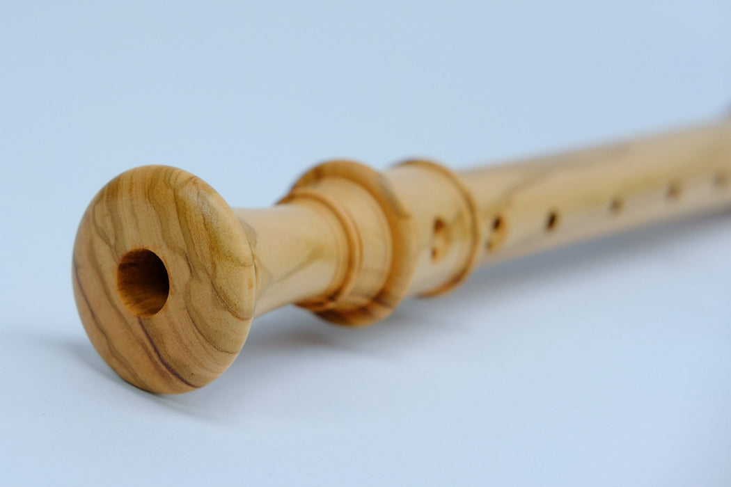 Mollenhauer Denner Alto Recorder in Olivewood