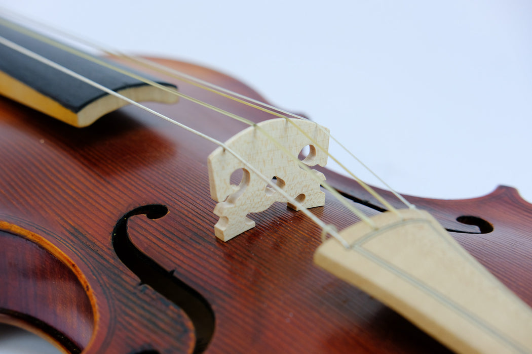 Ceske Baroque Violin