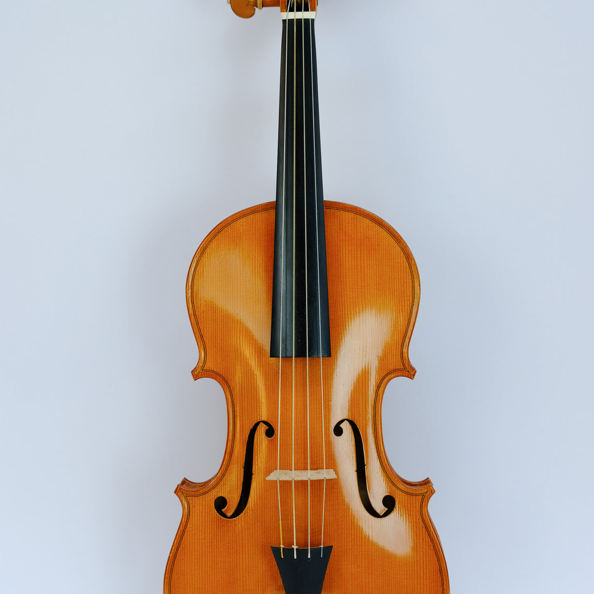 【選定分類：III-⑧モダン・マスターメード・伊太利】Violin Attributed to CARLO CHERICONI1950●国内修復・セッティング・調整未済●試奏可 Stradivari_Violin_c1667_Back_J