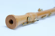 Mollenhauer Canta Comfort Tenor Recorder in Pearwood