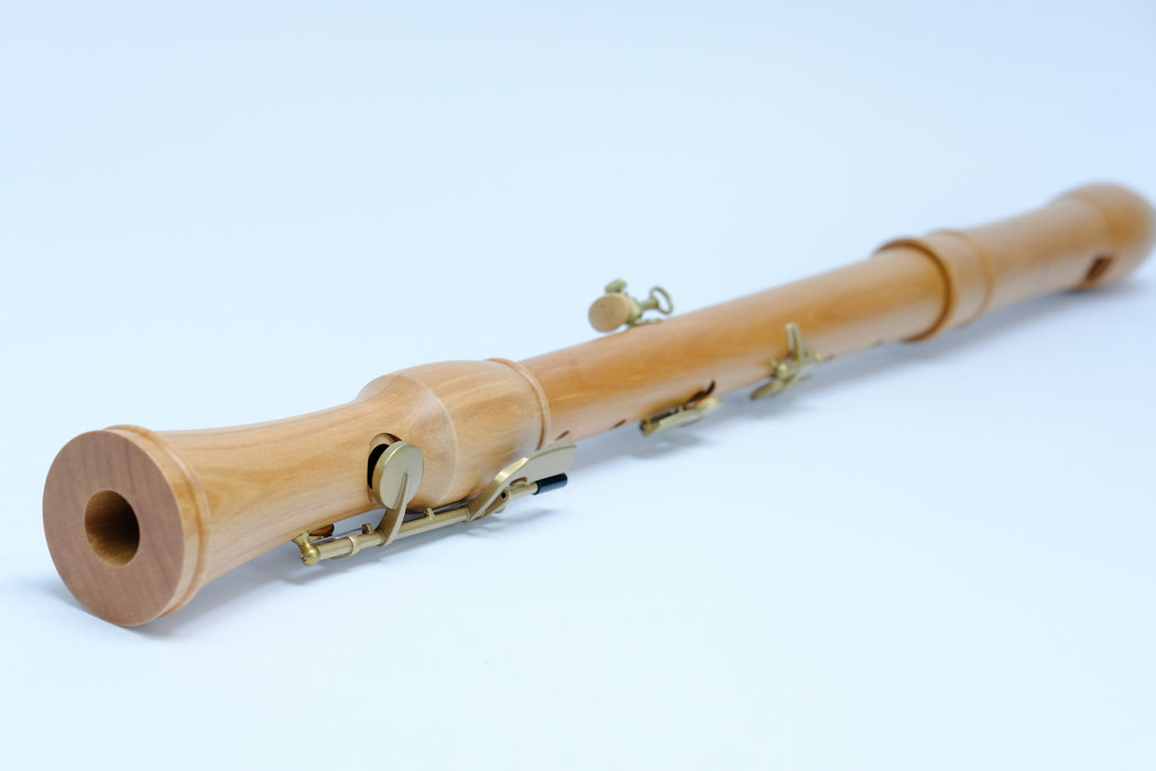 Mollenhauer Canta Comfort Tenor Recorder in Pearwood