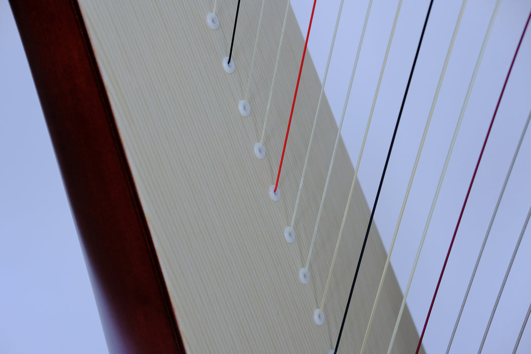 Mia 34 string harp (Gut strings) in mahogany finish by Salvi