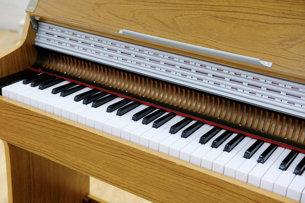 Foot Pump Reed Organ by Early Music Shop