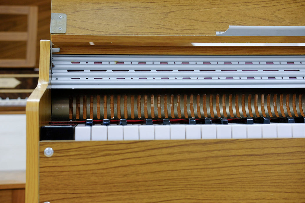 Foot Pump Reed Organ by Early Music Shop