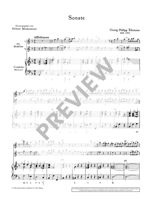 Telemann: Trio Sonata in G Minor for 2 Treble Recorders and Continuo