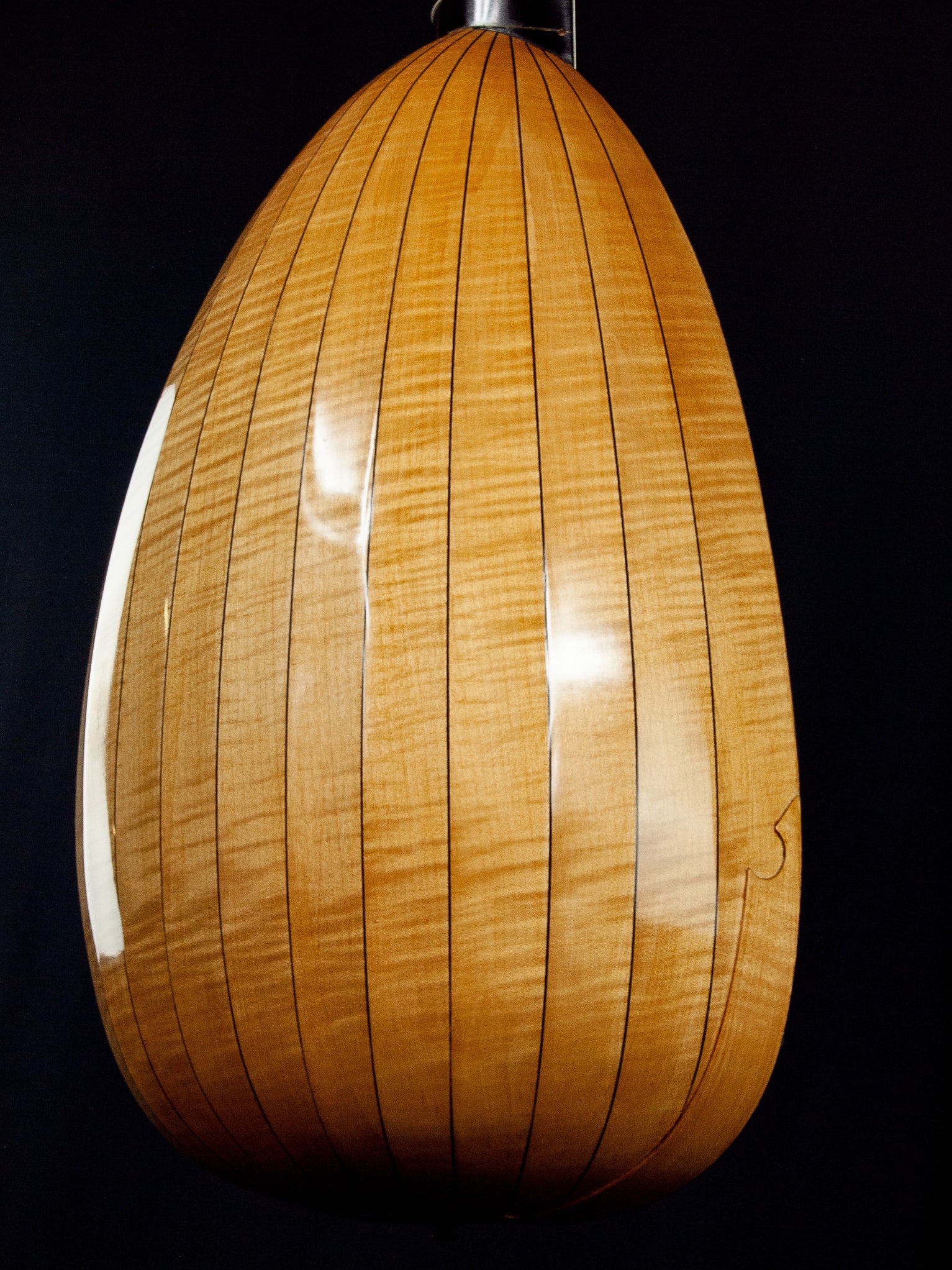 8 Course Renaissance Lute after Matteo Sellas by Marco Golinelli