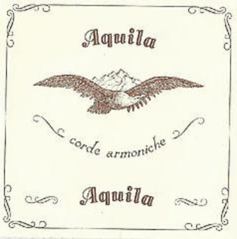 Aquila 128D x 140cm Long Wound Lute String - extra long lute string