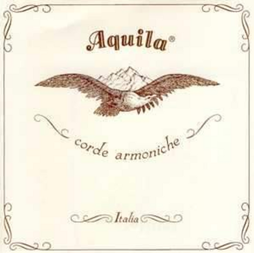 Aquila Theorbo 88NGE Nylgut Elastic Lute String x 180cm long