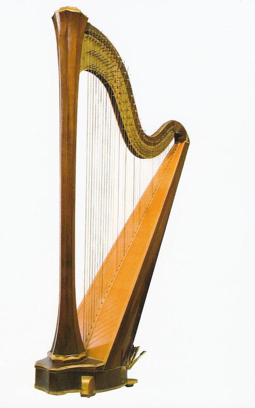 Postcard - Harp