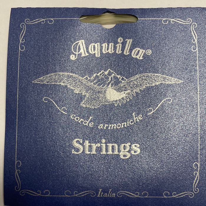 Aquila Afghan Rabab Sugar String Set - synthetic strings